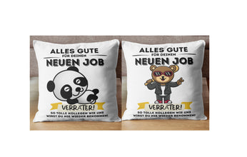 ABSCHIEDSGESCHENK für Kollegen, Kissen mit coolem Aufdruck und SPRUCH, TOLLE Kollegen